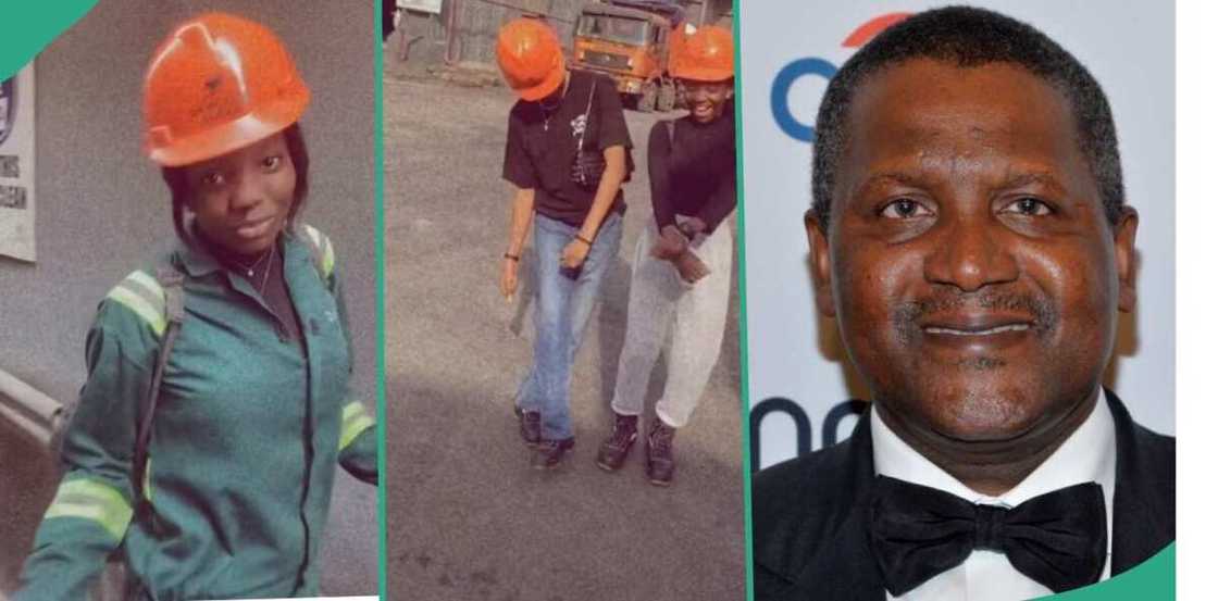 Ma'aikatan kamfanin Dangote Ma'aikatan kamfanin Dangote