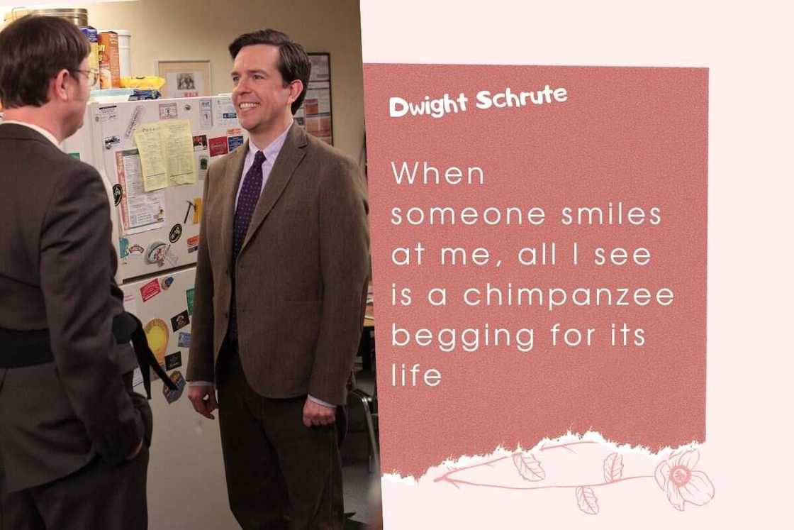dwight quotes dwight quotes