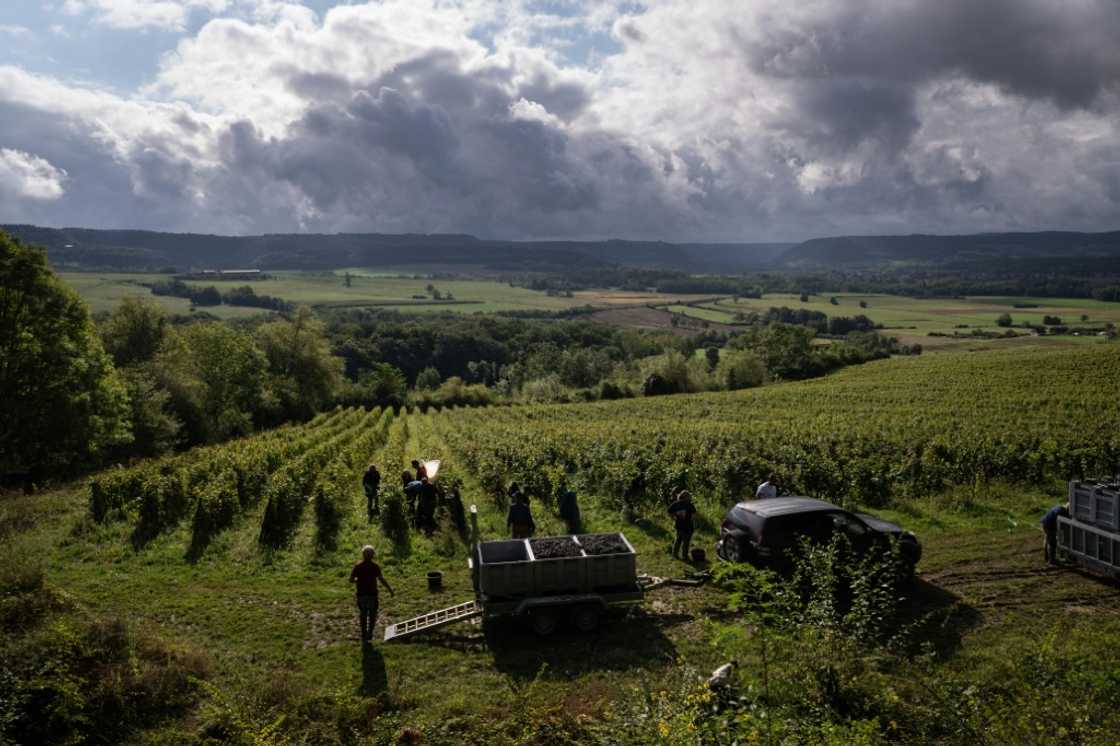 There are dark clouds over the French wine industry