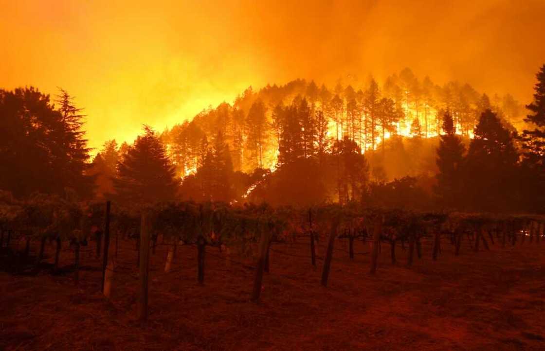 A forest fire burns through California's Napa Valley last May