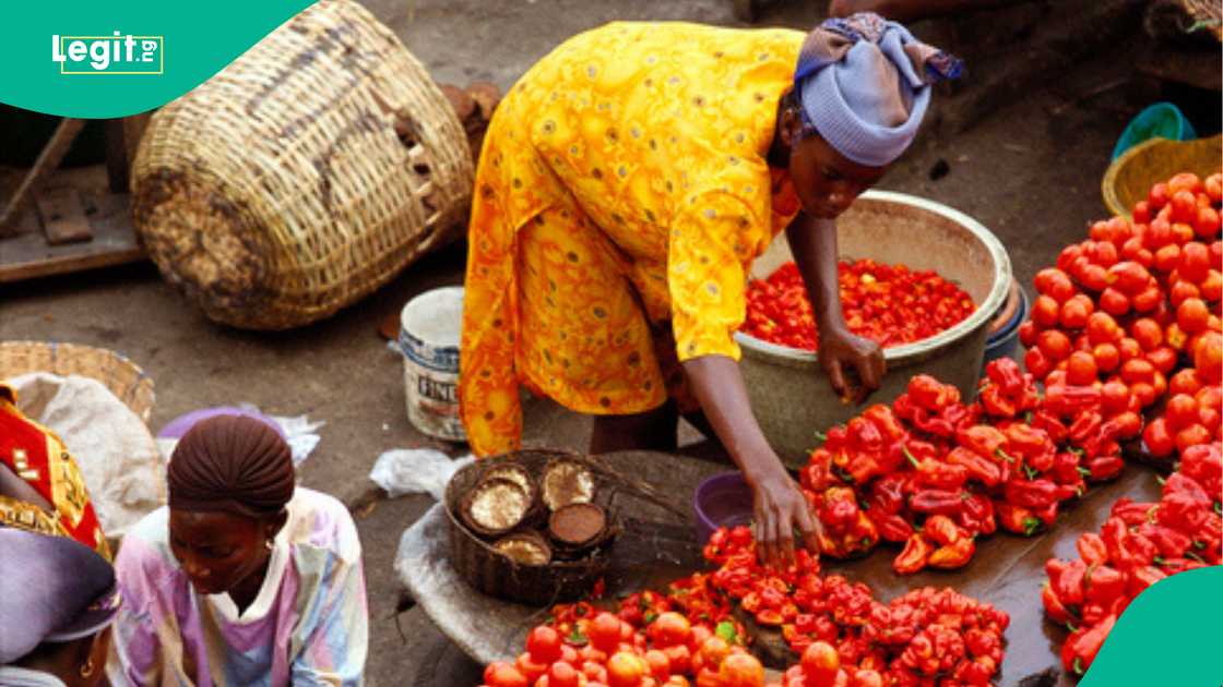 Nigerians complain over increase in pepper price Nigerians complain over increase in pepper price