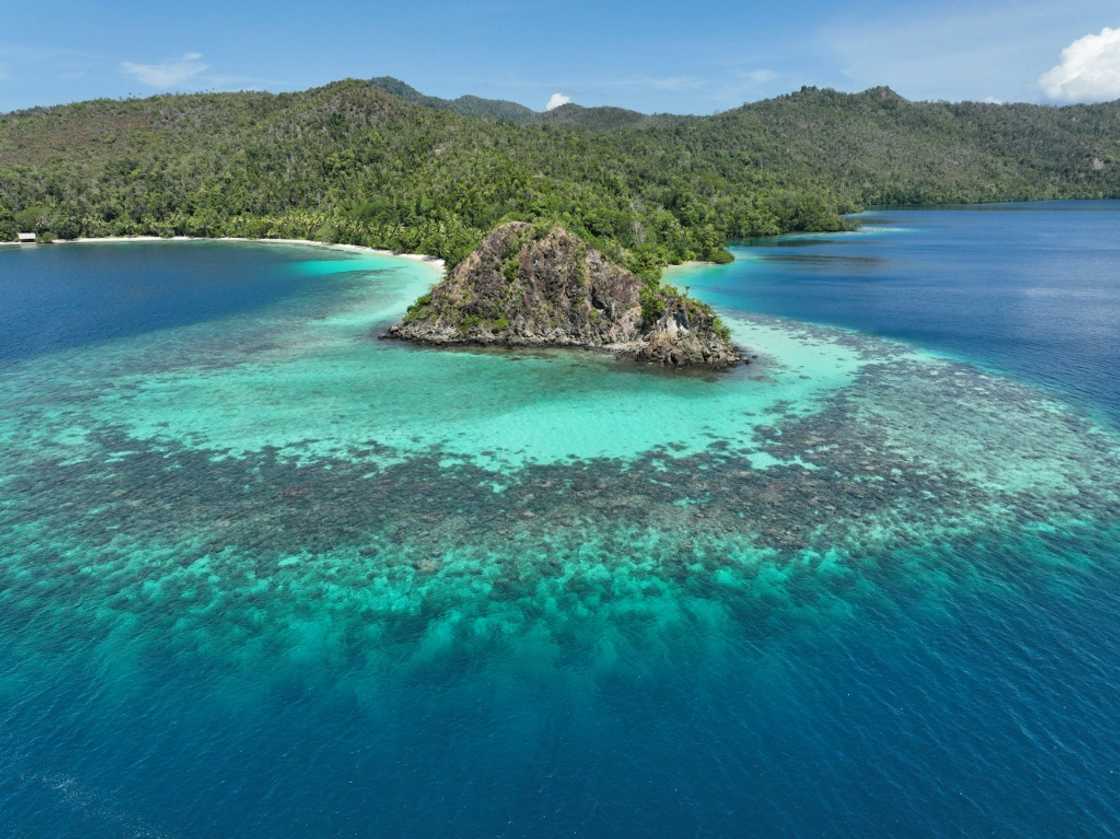 Indonesia's government revoked permits for four of the five nickel mining companies operating in the cluster of islands and shoals in southwest Papua province