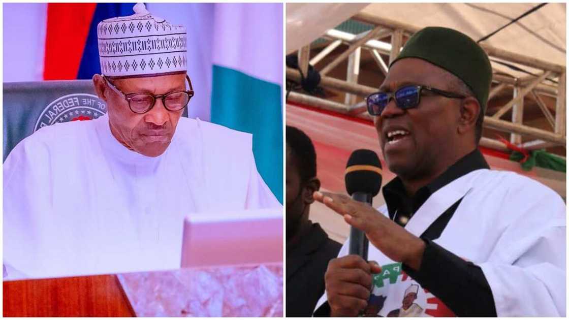 President Muhammadu Buhari/Peter Obi/Bashir Ahmed/Labour Party/APC/2023 Election/Northern Nigeria President Muhammadu Buhari/Peter Obi/Bashir Ahmed/Labour Party/APC/2023 Election/Northern Nigeria