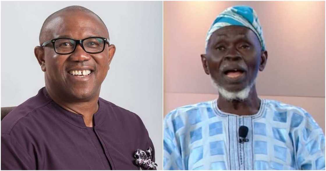 Lamidi Apapa, Peter Obi, election petition tribunal, Peter Obi Lamidi Apapa, Peter Obi, election petition tribunal, Peter Obi