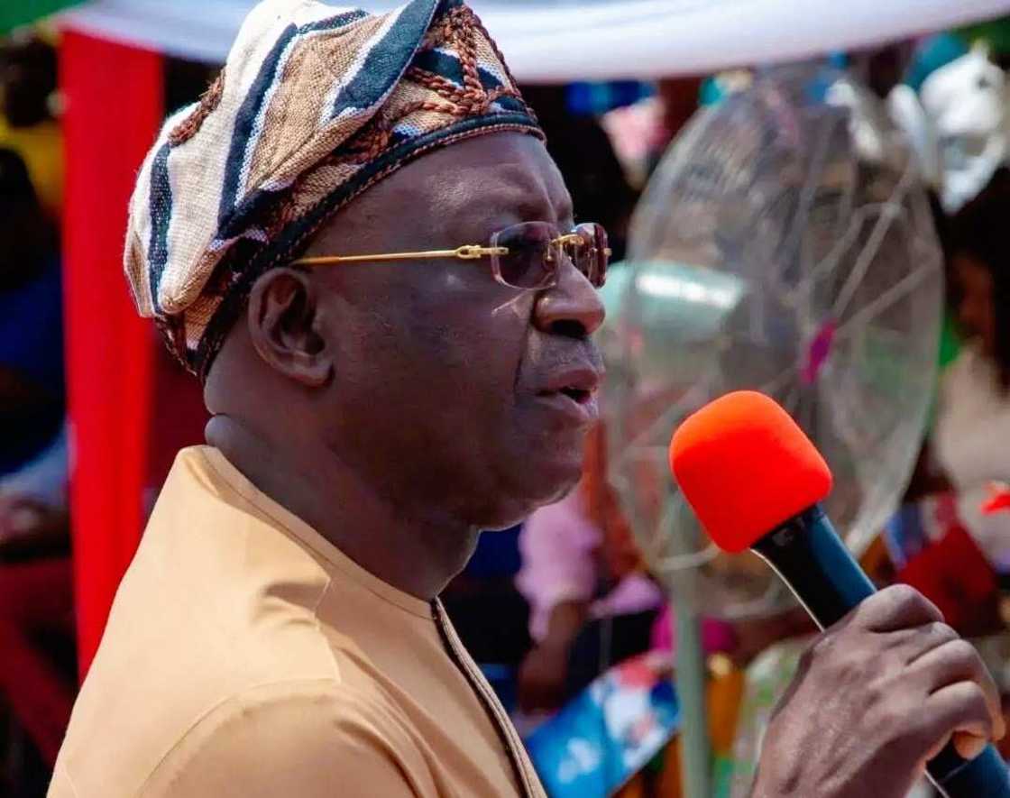 Iyorchia Ayu. Iyorchia Ayu.