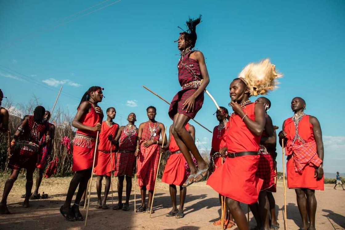 Safari with Xiaomi Winners Experience the Iconic African Wilderness the Maasai Mara Safari with Xiaomi Winners Experience the Iconic African Wilderness the Maasai Mara