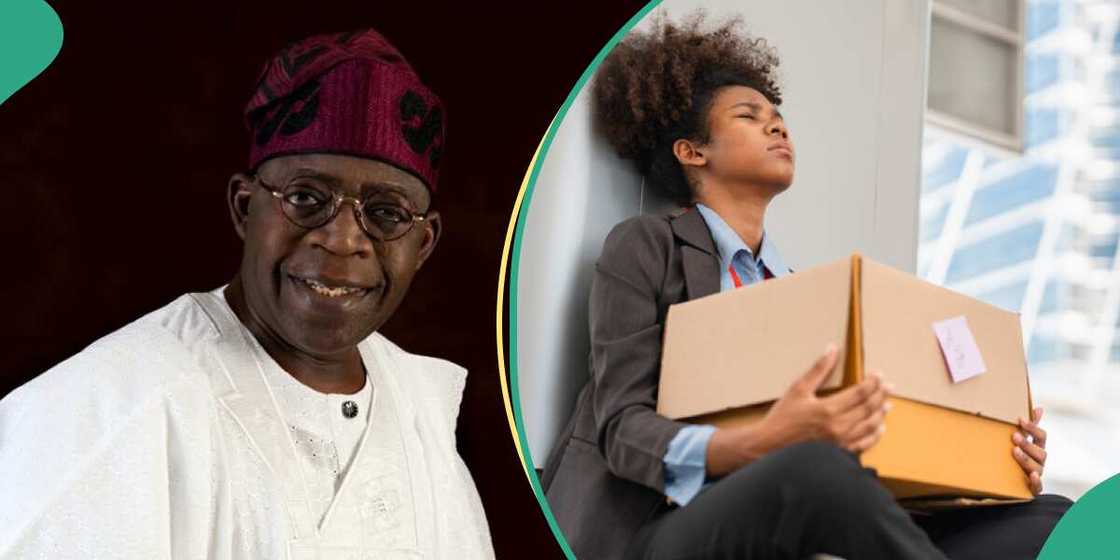 FG to share money for unemployed youths FG to share money for unemployed youths