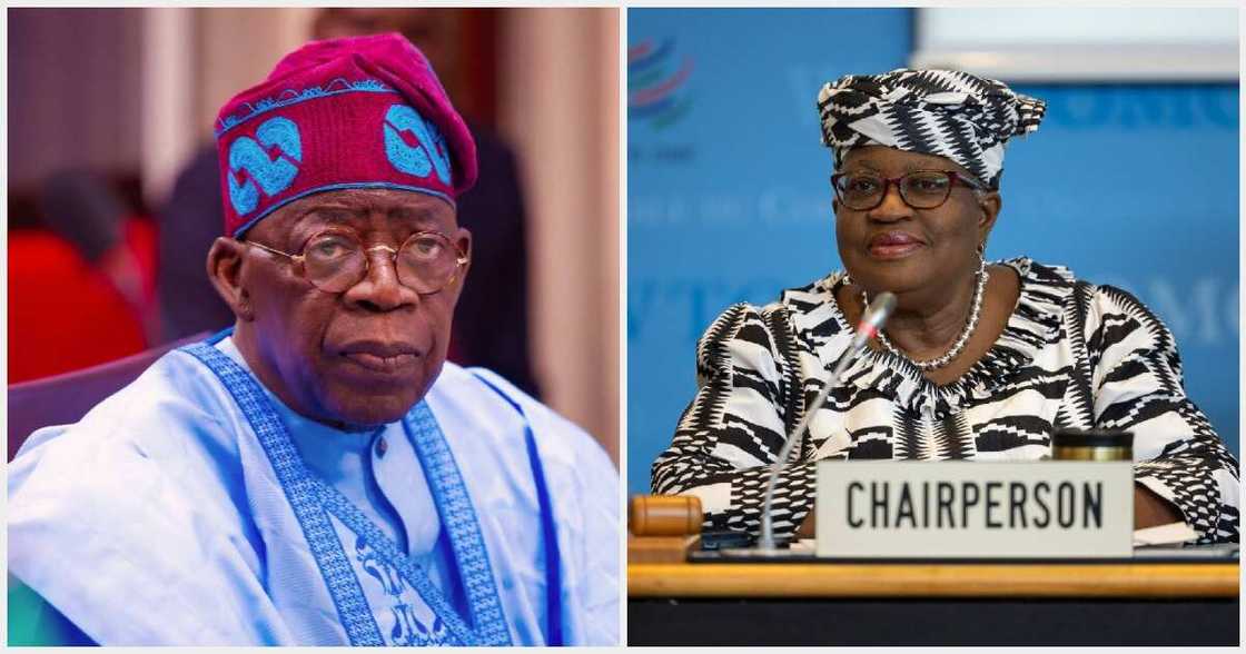 President Tinubu, Okonjo-Iweala President Tinubu, Okonjo-Iweala