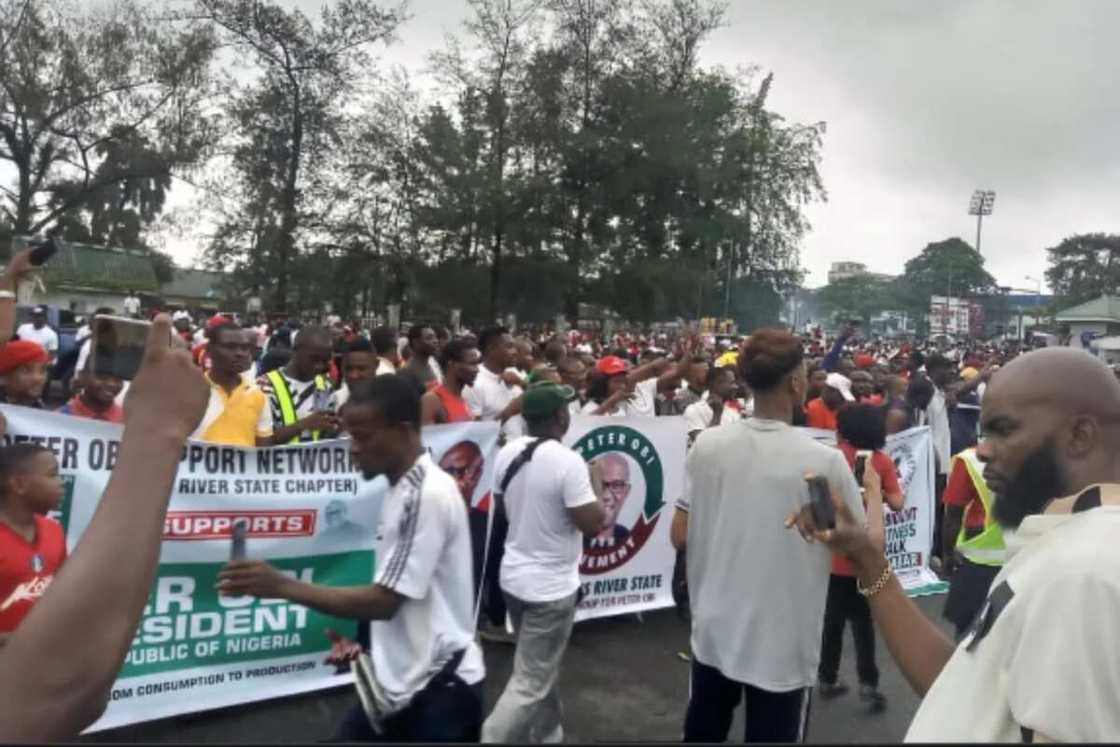 Peter Obi's supporters accused of being divisive Peter Obi's supporters accused of being divisive