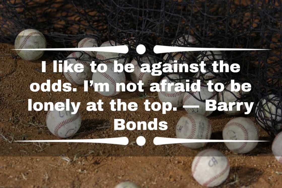 Best baseball quotes