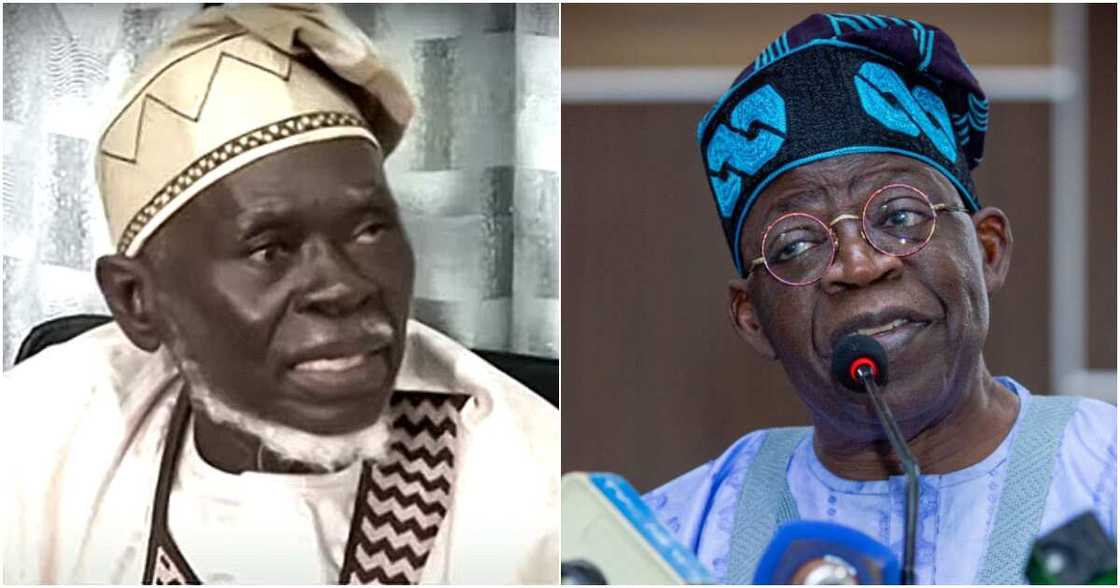 Bola Tinubu, Lamidi Apapa, APC, Labour Party, Peter Obi Bola Tinubu, Lamidi Apapa, APC, Labour Party, Peter Obi
