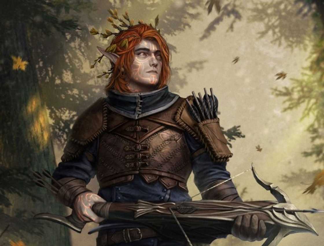 Eladrin holding a bow and arrow Eladrin holding a bow and arrow