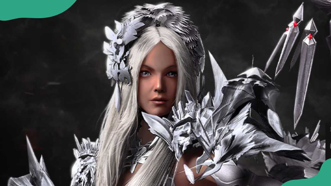 Summoner in a white armour. Summoner in a white armour.