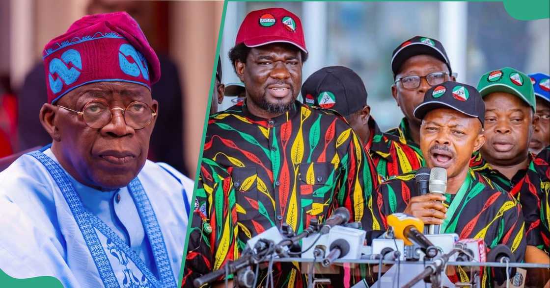 Victory for the Nigerian Labour Congress and federal workers as the President Bola Tinubu-led government confirms a date to clear minimum wage arrears. Victory for the Nigerian Labour Congress and federal workers as the President Bola Tinubu-led government confirms a date to clear minimum wage arrears.