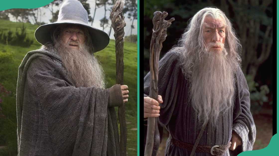 Gandalf the Grey holding his staff in the film Lord Of The Rings Gandalf the Grey holding his staff in the film Lord Of The Rings