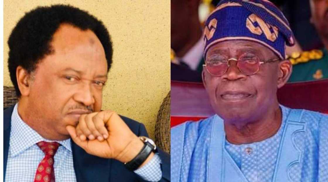 Shehu Sani ya shawarci Tinubu kan abubuwa guda 2 Shehu Sani ya shawarci Tinubu kan abubuwa guda 2