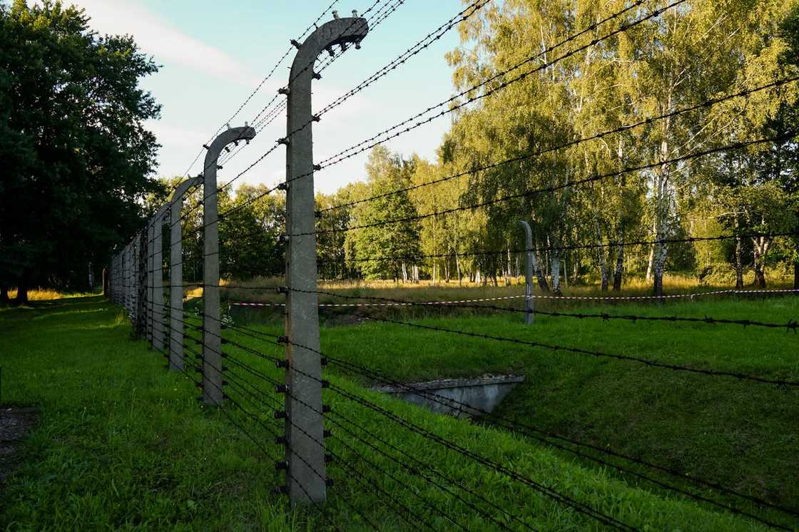 A barbed-wire fence running along a grassy boundary near a wooded area. A barbed-wire fence running along a grassy boundary near a wooded area.