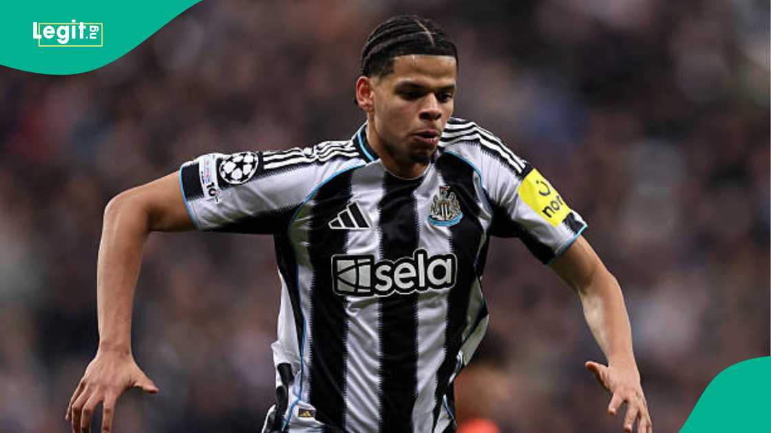 William Osula, Nigeria, Newcastle United, Denmark, FIFA, World Cup