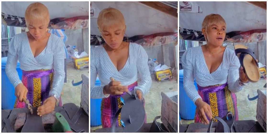Female cobbler Female cobbler