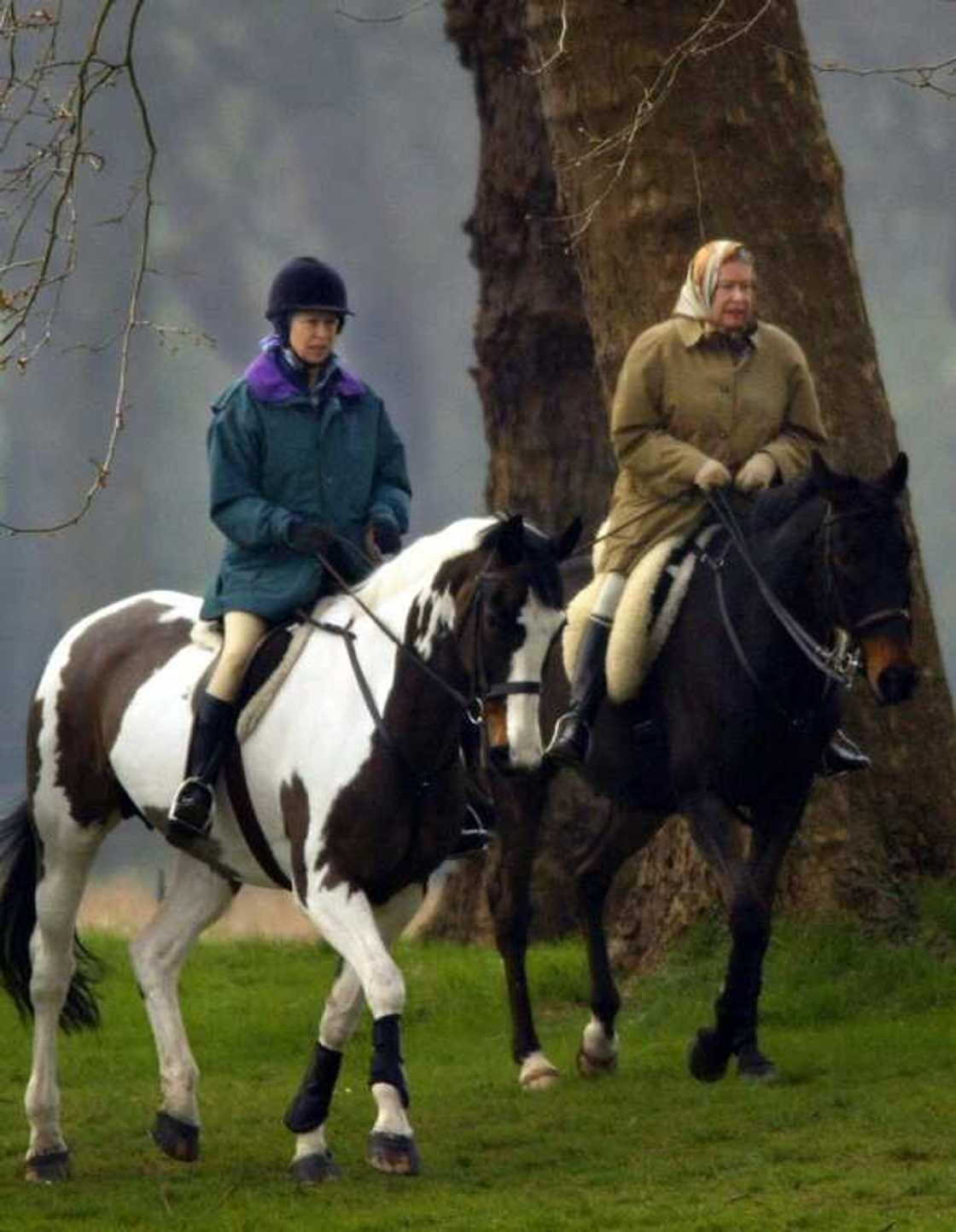 The queen and her daughter, Princess Anne, had a close relationship due to their mutual love of horses The queen and her daughter, Princess Anne, had a close relationship due to their mutual love of horses
