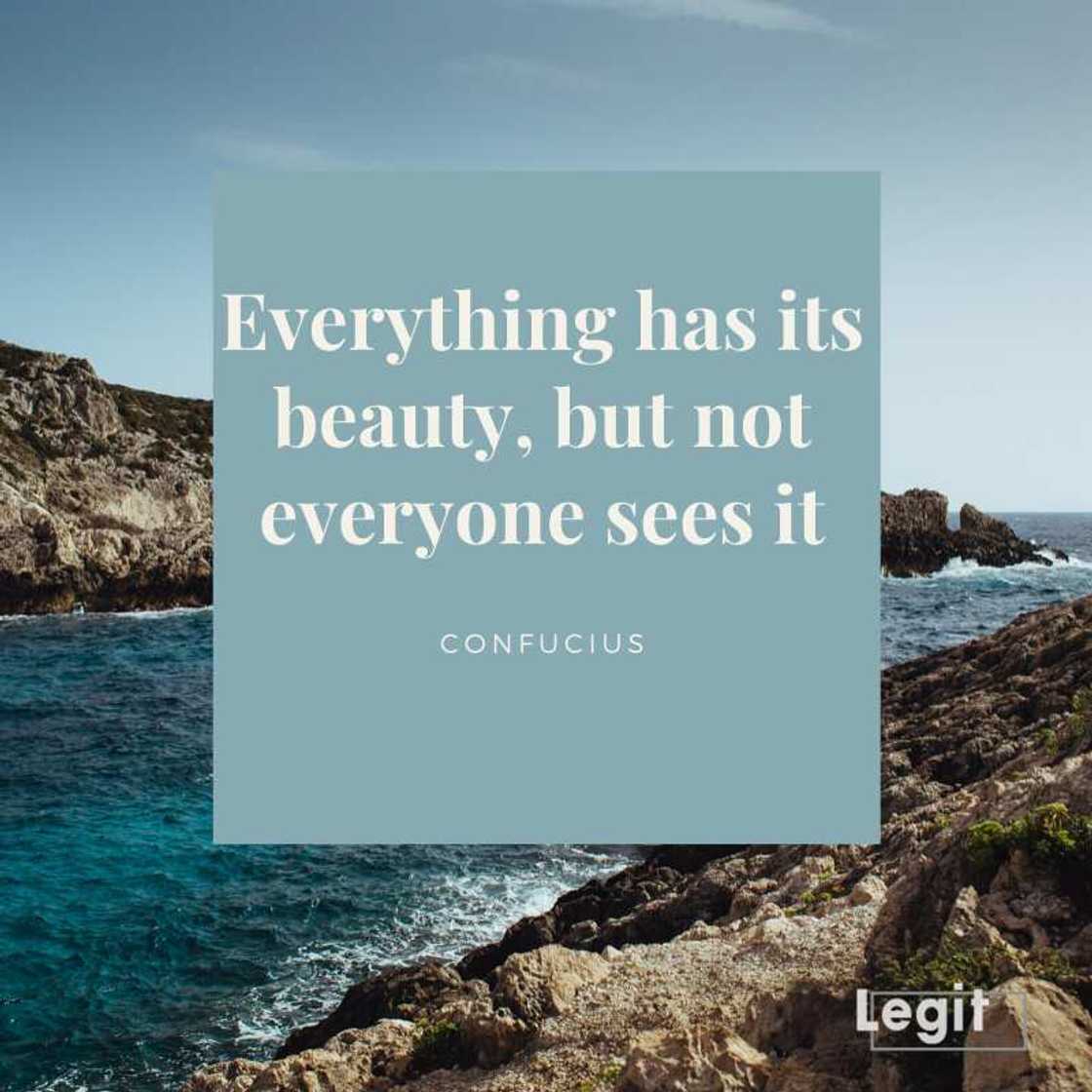 Best quote about life Best quote about life