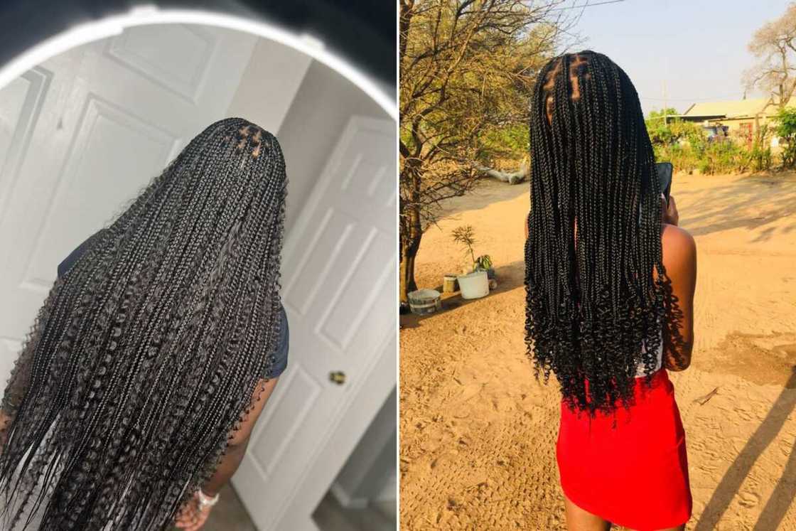 medium knotless braids