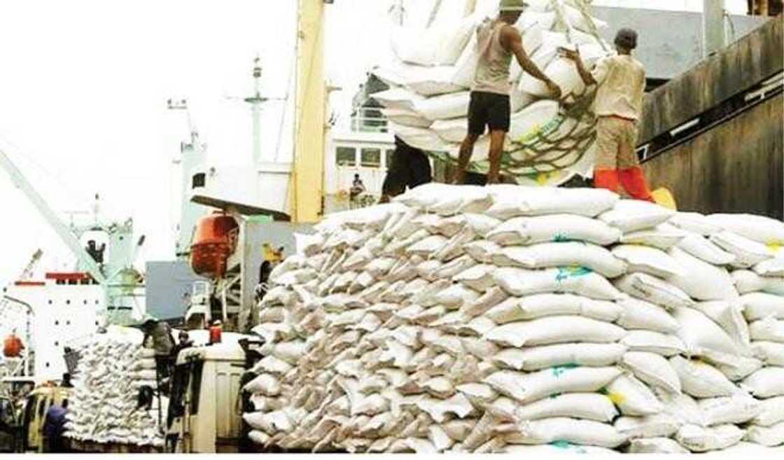 Coronavirus: Buhari ya zaftare kashi 9.1 daga farashin takin zamani don taimaka ma manoma Coronavirus: Buhari ya zaftare kashi 9.1 daga farashin takin zamani don taimaka ma manoma