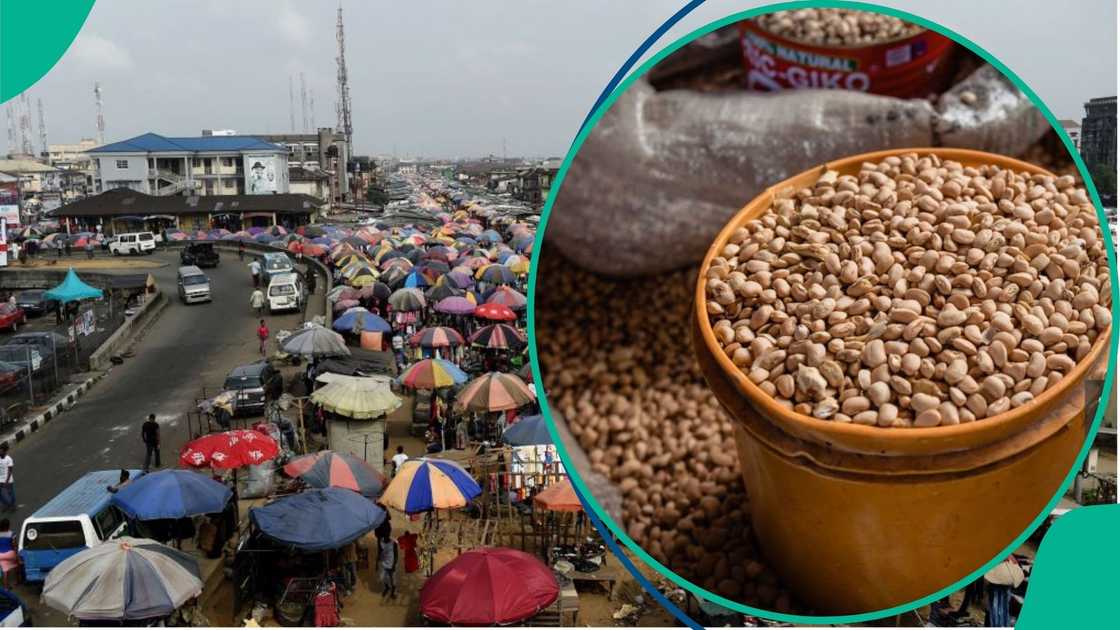 Speculations upturned as Beans prices continue to crash Speculations upturned as Beans prices continue to crash