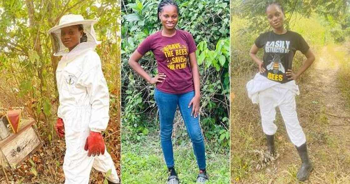 Nigerian beekeeper shares her story Nigerian beekeeper shares her story