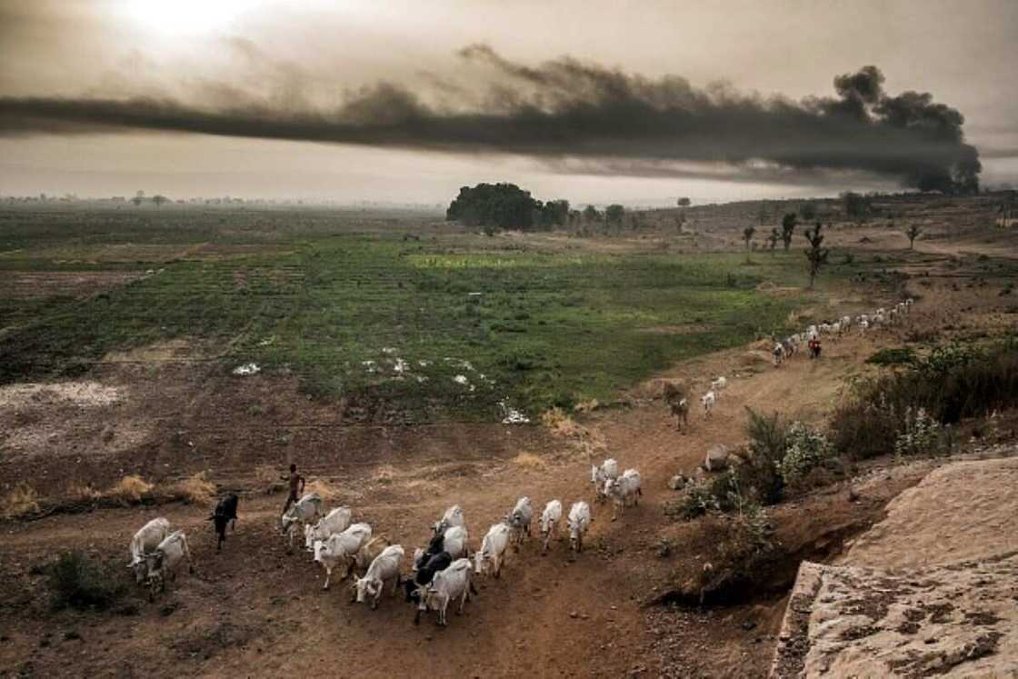 grazing routes grazing routes