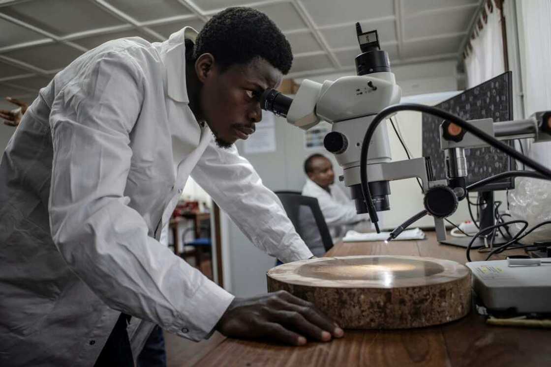 Scientists at the Yangambi Biosphere Reserve are studying the rainforest's role in climate change Scientists at the Yangambi Biosphere Reserve are studying the rainforest's role in climate change