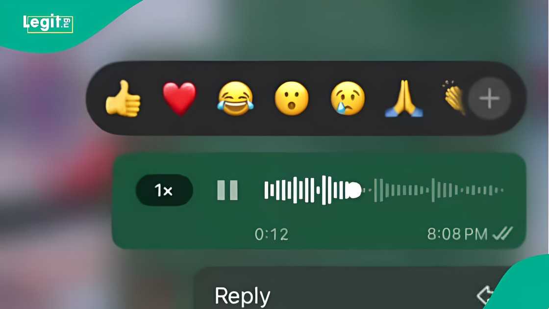 Lady gets Nigerians laughing with brother’s voice note to her boyfriend