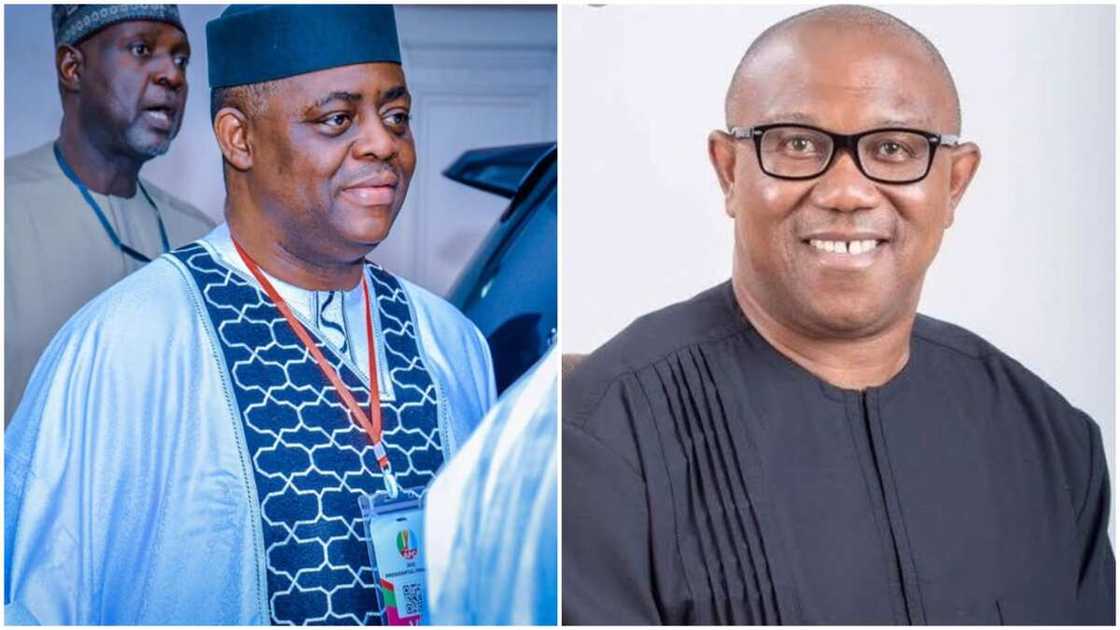 Obidients/Fani-Kayode/APC, PDP/2023 Presidential Election Obidients/Fani-Kayode/APC, PDP/2023 Presidential Election