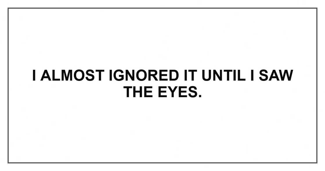 I almost ignored it until I saw the eyes.