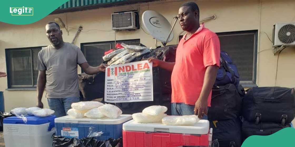 NDLEA intercepts major drug syndicates