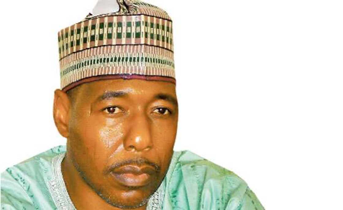 Gwamna Zulum Gwamna Zulum