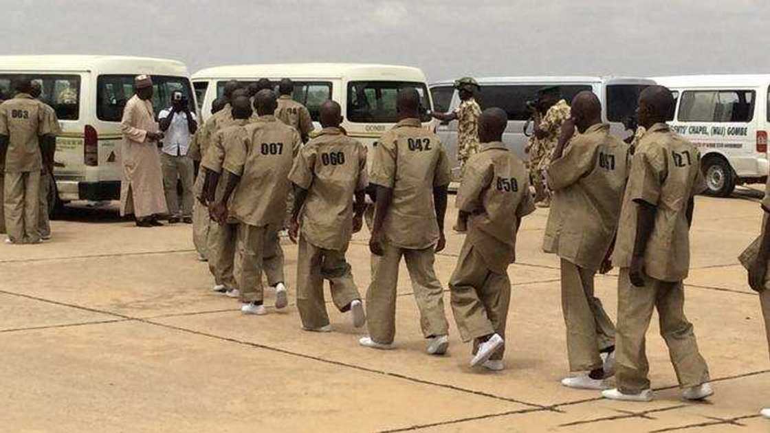 Mun yiwa tubabbun ya Boko Haram 600 rijistan katin zama yan kasa - NIMC Mun yiwa tubabbun ya Boko Haram 600 rijistan katin zama yan kasa - NIMC