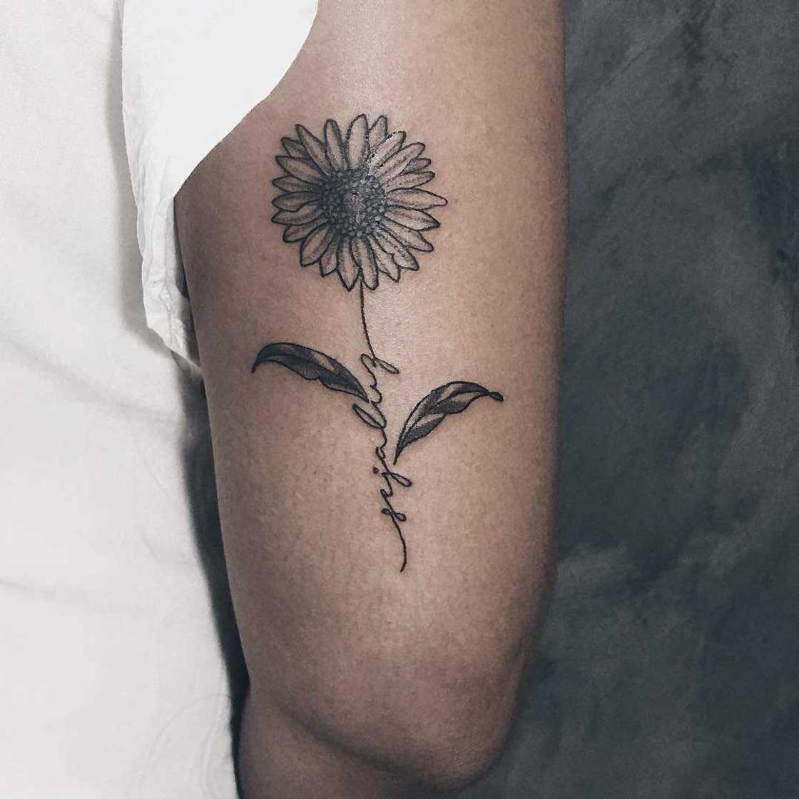 Sunflower outline Sunflower outline
