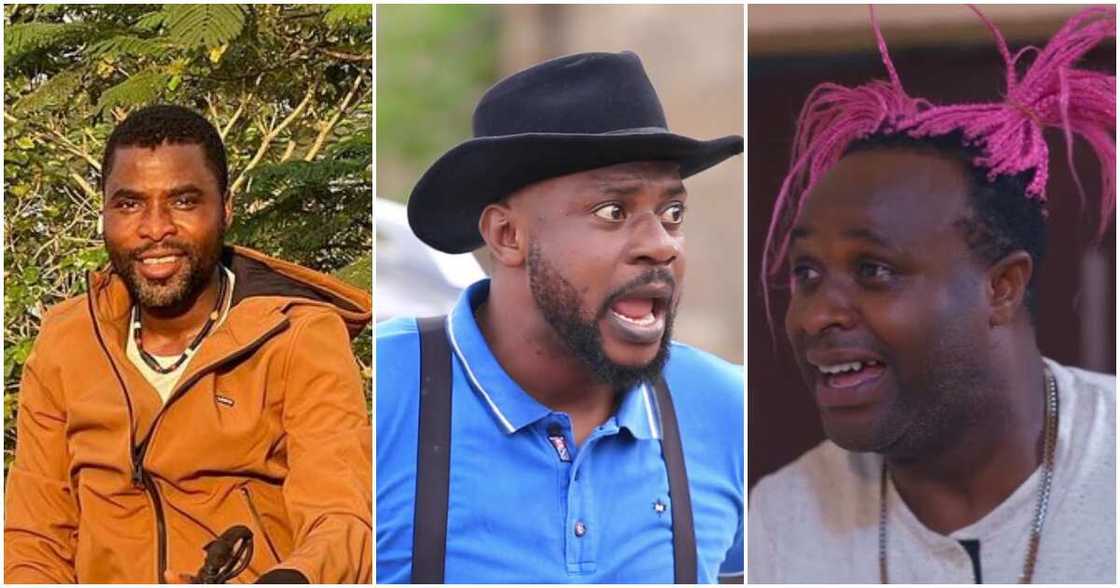 Odunlade Adekola, Femi Adebayo, Ibrahim Chatta Odunlade Adekola, Femi Adebayo, Ibrahim Chatta