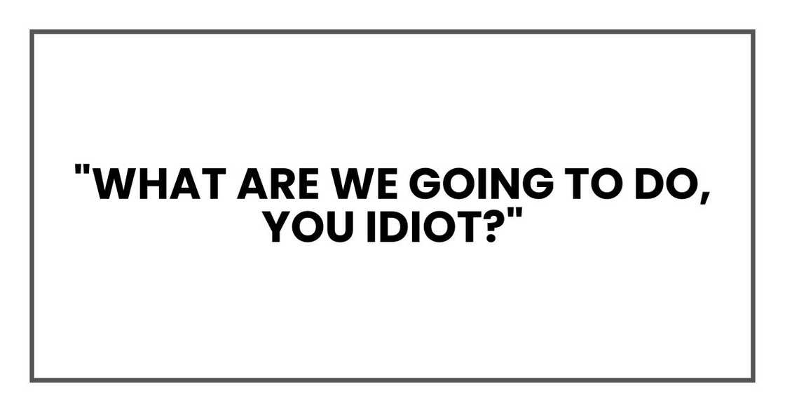 "What are we going to do, you idiot?"