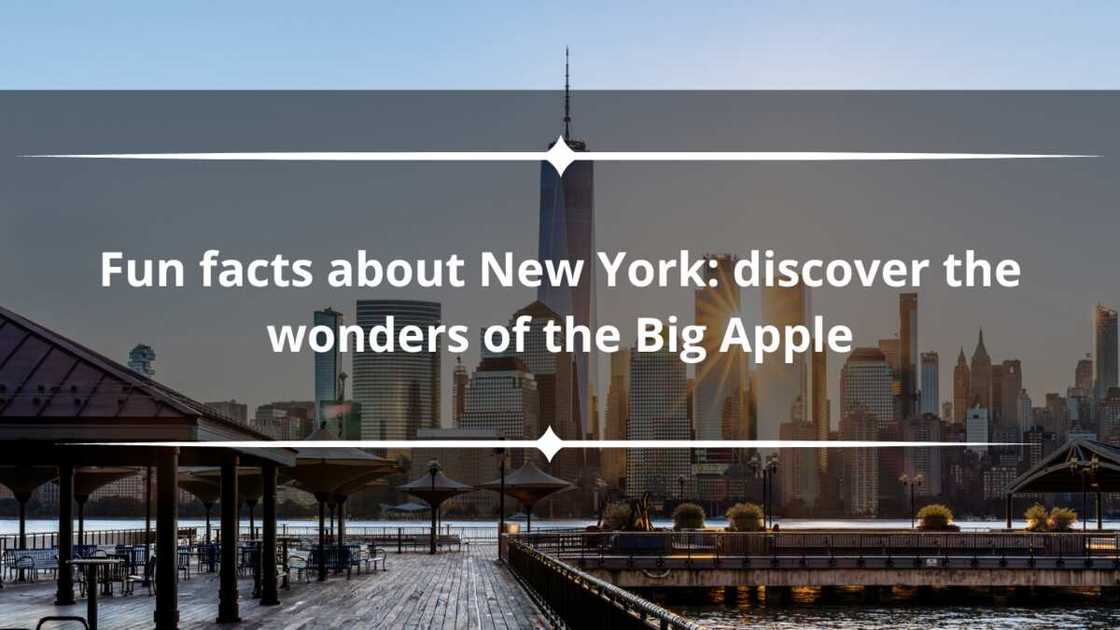15 fun facts about New York: discover the wonders of the Big Apple