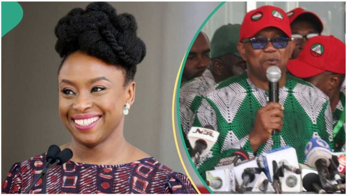 Chimamanda Adichie/Peter Obi/Labour Party/United States