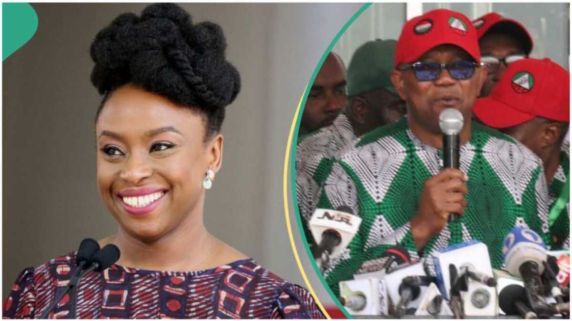 Chimamanda Adichie/Peter Obi/Labour Party/United States Chimamanda Adichie/Peter Obi/Labour Party/United States