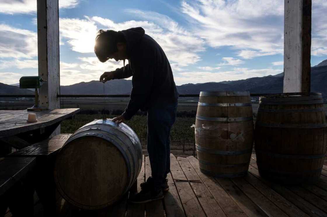 Jorge Osiel Lopez prepares wine barrels at the Anatolia winery in Mexico's Guadalupe Valley Jorge Osiel Lopez prepares wine barrels at the Anatolia winery in Mexico's Guadalupe Valley