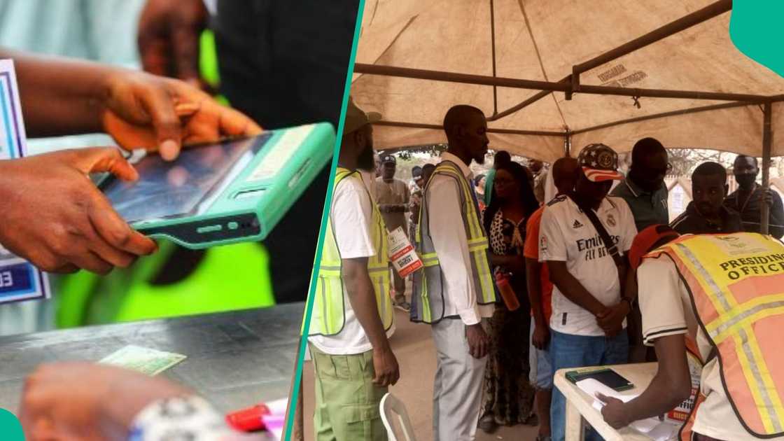 FCT Council Elections: List of Polling Unit Results Released So Far as Voting Ends, Counting Begins