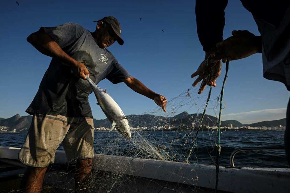 Manoel Reboucas says that the catch off the coast of Cobacabana, in Rio de Janeiro, has declined in recent years due to unsustainable fishing practices