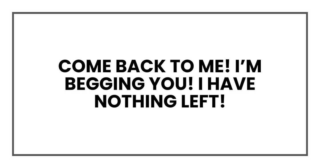 Come back to me! I’m begging you! I have nothing left! Come back to me! I’m begging you! I have nothing left!