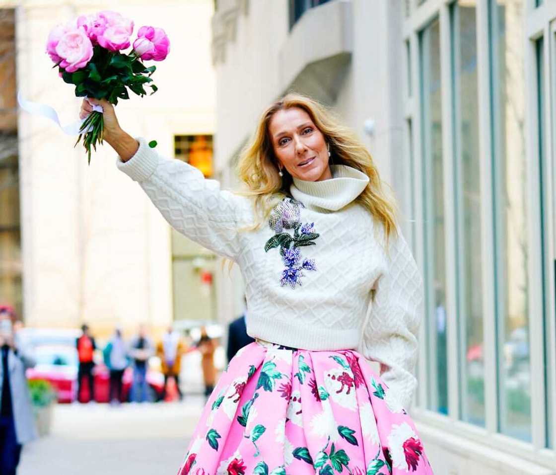 Does Celine Dion have a boyfriend? Does Celine Dion have a boyfriend?