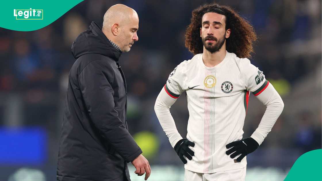 Enzo Maresca, Marc Cucurella, Chelsea, Atalanta, UEFA Champions League. Enzo Maresca, Marc Cucurella, Chelsea, Atalanta, UEFA Champions League.