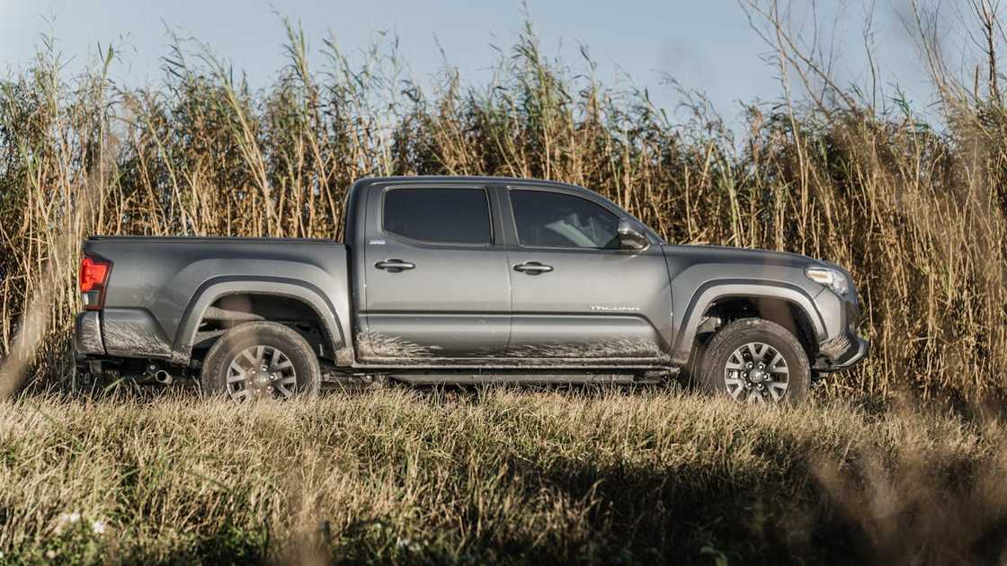 A grey pickup truck parked beside tall grass and reeds. A grey pickup truck parked beside tall grass and reeds.